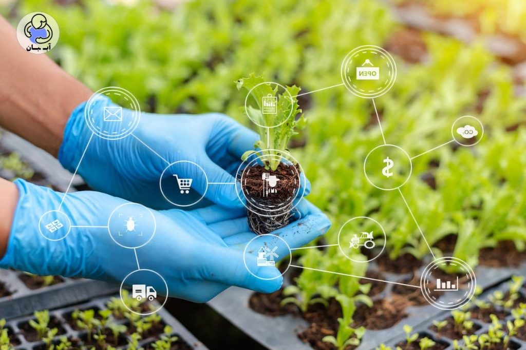 عملکرد سوپرجاذب‌های کشاورزی