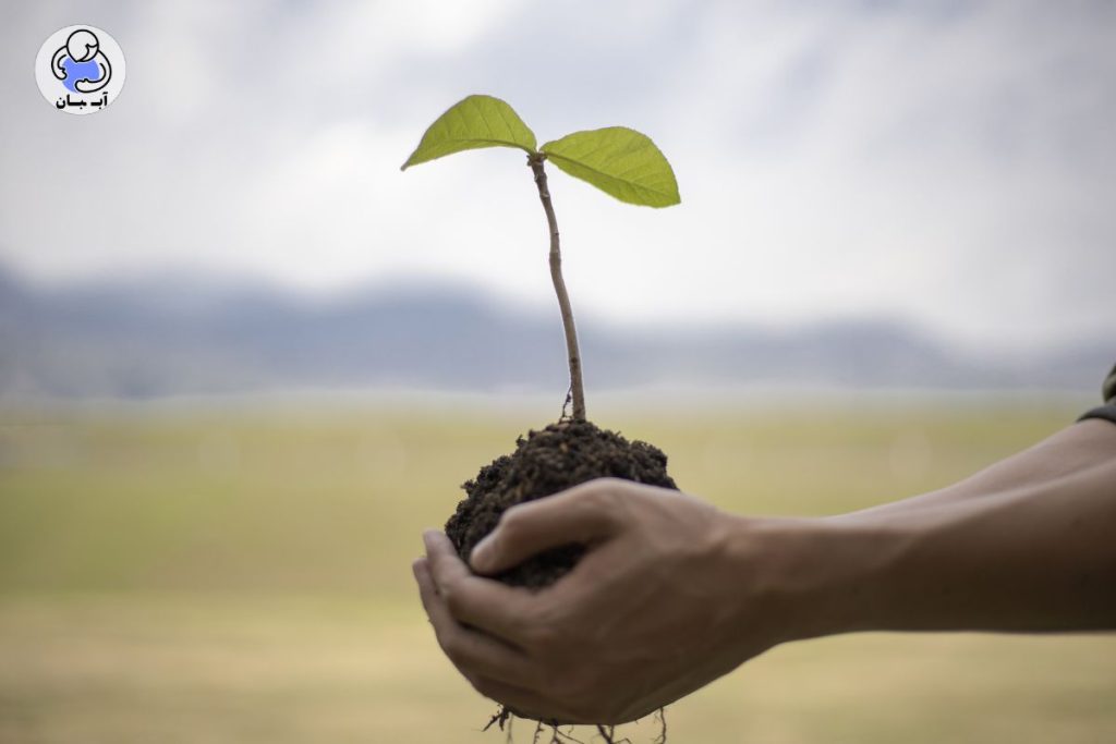 سوپرجاذب: نگهبان نامرئی آب و خاک