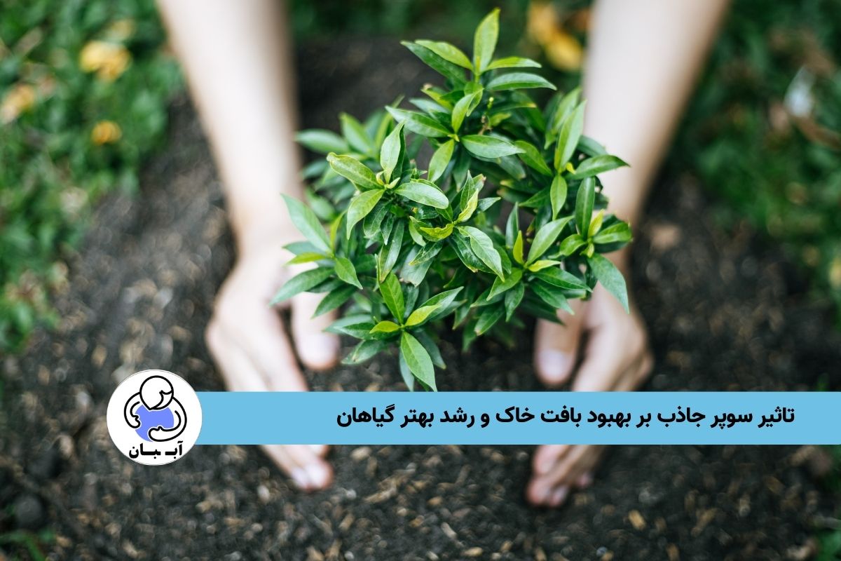 تاثیر سوپر جاذب بر بهبود بافت خاک و رشد بهتر گیاهان