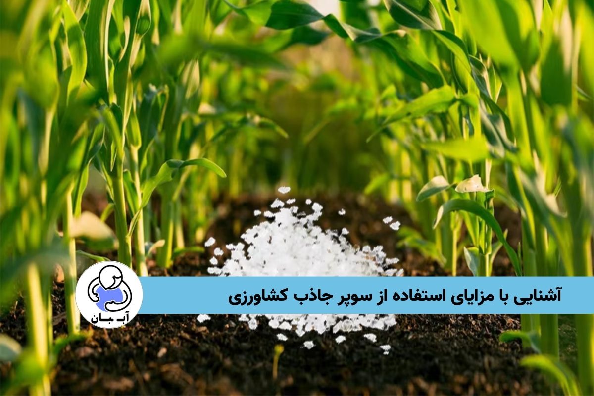 آشنایی با مزایای استفاده از سوپر جاذب کشاورزی