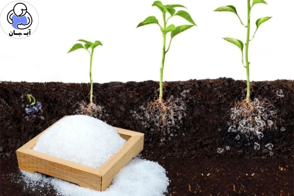 سوپرجاذب کشاورزی چیه؟ مخزن آب شخصی برای هر ریشه!