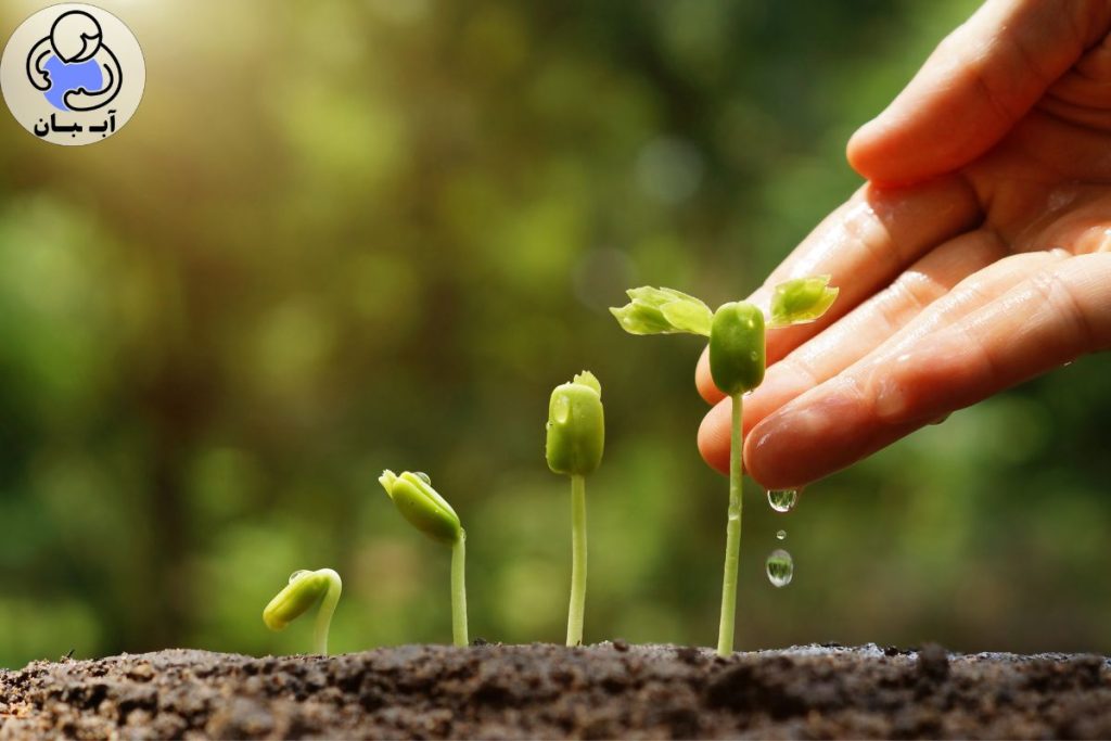 پس کدوم رو انتخاب کنم؟ یه تصمیم هوشمندانه!