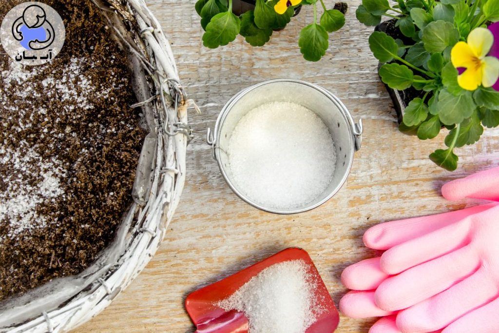 سوپرجاذب کشاورزی چیست؟ یه یادآوری کوچیک