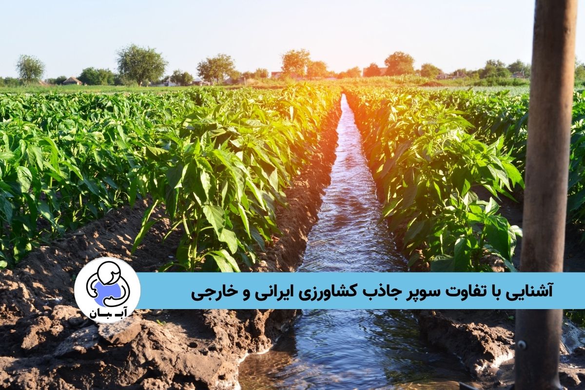 آشنایی با تفاوت سوپر جاذب کشاورزی ایرانی و خارجی