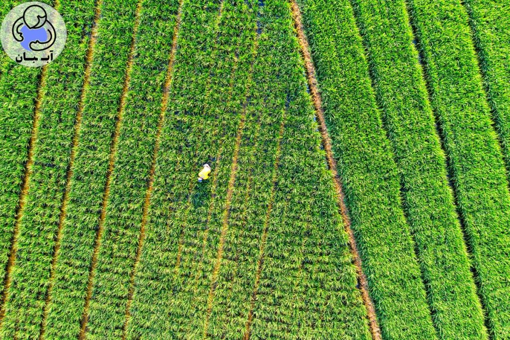  سوپرجاذب، فرمول سودآوری جدید شماست