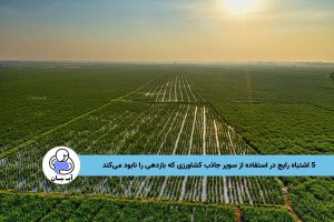 5 اشتباه رایج در استفاده از سوپر جاذب کشاورزی که بازدهی را نابود میکند