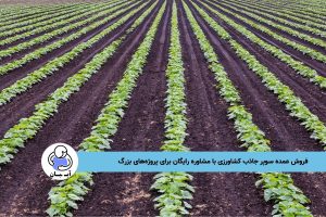 فروش عمده سوپر جاذب کشاورزی با مشاوره رایگان برای پروژه‌های بزرگ