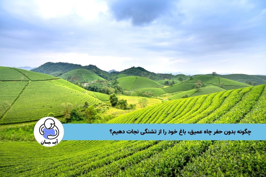 چگونه بدون حفر چاه عمیق، باغ خود را از تشنگی نجات دهیم؟
