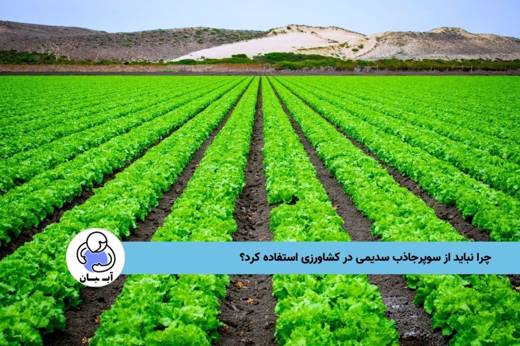 چرا نباید از سوپرجاذب سدیمی در کشاورزی استفاده کرد؟