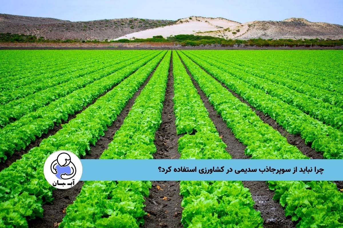 چرا نباید از سوپرجاذب سدیمی در کشاورزی استفاده کرد؟