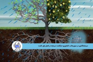 سرمایه‌گذاری در سوپرجاذب کشاورزی؛ بازگشت سرمایه در فصل اول کشت